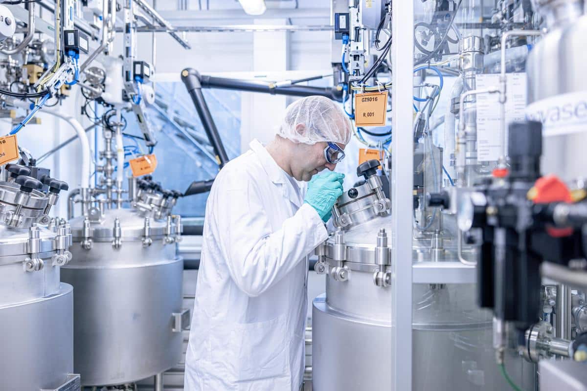 Perfect Peptides: Quality Standards and Selection Guide