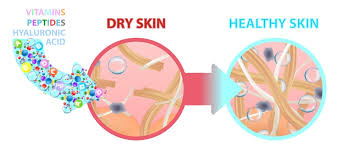 How Peptides Communicate with Your Body